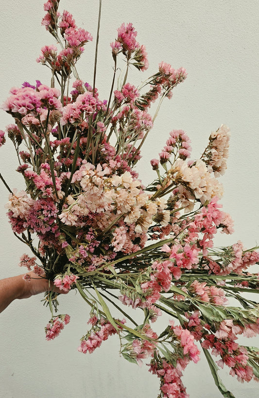 Dried Limonium, Statice, Apricot